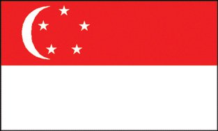 Singapore 2x3' Poly Flag
