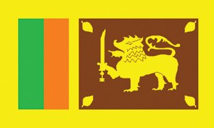 Sri Lanka 2x3' Poly Flag