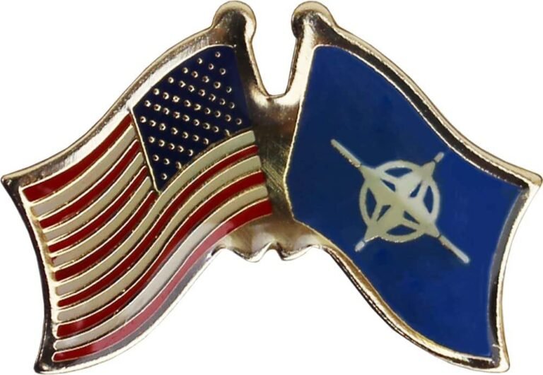 USA/NATO Friendship Lapel Pins