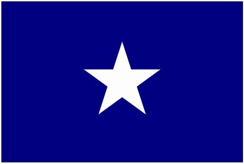 3'x5' Printed Nyl. Bonnie Blue Flag