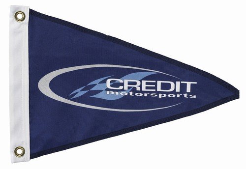 Printed Nylon Custom Pennant Flag 4'x6'