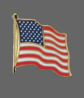 USA Flag Pin